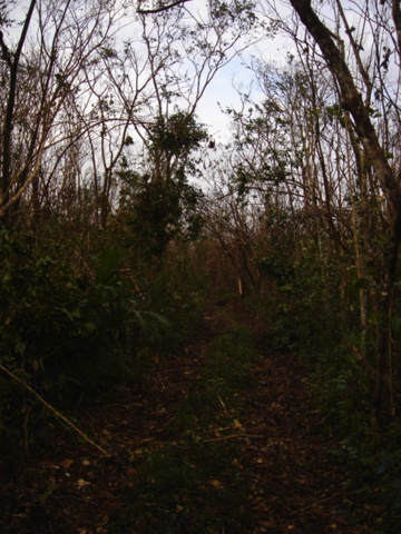 dsc00457.jpg